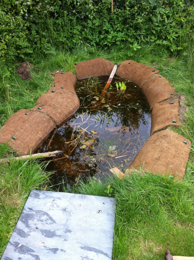 Making A Wildlife Pond