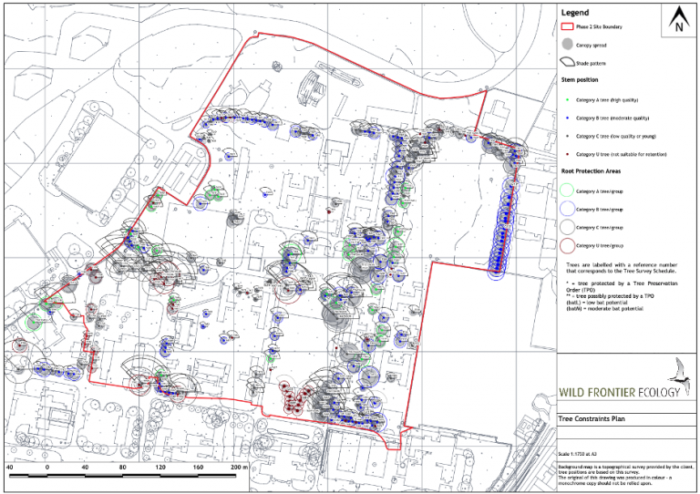 BS5837 Tree Survey for Development - Wild Frontier Ecology